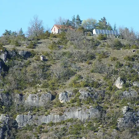 Le Des Vautours