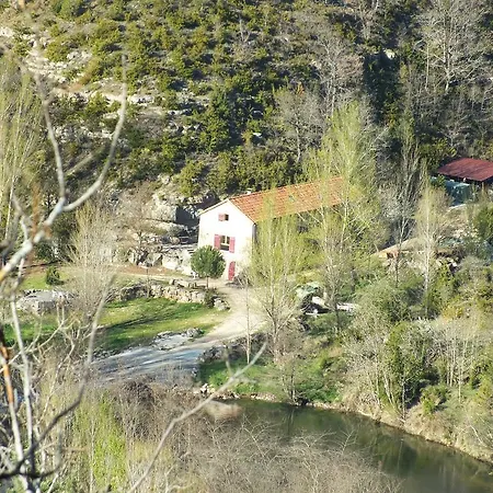 Le Des Vautours
