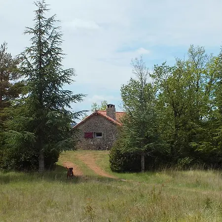 Le Des Vautours *